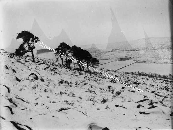 DUBLIN MOUNTAINS